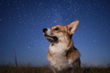 Пощечина Овнов, суета Дев и кризис Рыб: подробный гороскоп на 21 марта