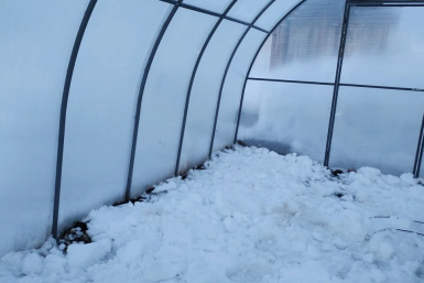 Как сделать теплицу цветущей за две недели - инструкция, похожая на рецепт волшебного зелья