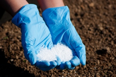 Битва удобрений: навоз, зола или магазинные смеси - что выбрать для земли после зимы