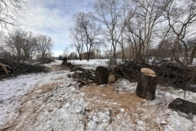 В Комсомольске-на-Амуре стартовало благоустройство общественных пространств