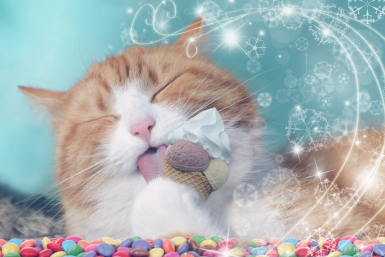 В России может подорожать мороженое и сгущенка