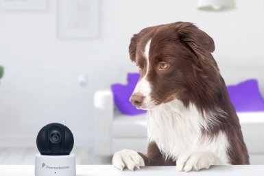 Тематическая иллюстрация Пресс-служба компании Ростелеком