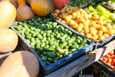 Тематическое фото Илья Аверьянов, ИА PrimaMedia