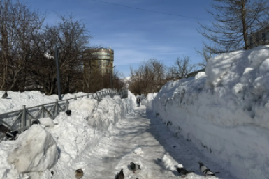 Новость дня