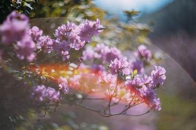 Всего одна привычка, и жизнь начинает сиять как весеннее солнышко: простое упражнение, чтобы стать спокойнее и счастливее