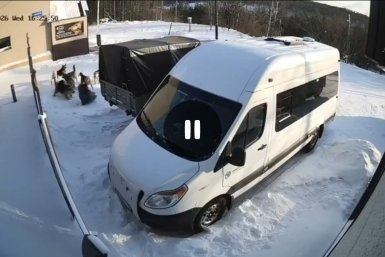 Нападение стаи собак в Нерюнгри Скрин из видео  прокуратуры Якутии
