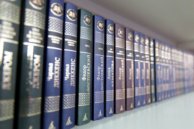 Любой школьник ответит на все вопросы, а вы справитесь? - ТЕСТ по литературе