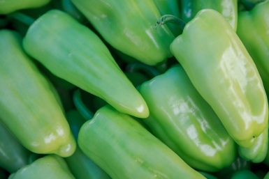 Если перец чахнет — 30 капель в воду, и жирный урожай перца на год вперед обеспечен: и соседям хватит, и детям, и внукам