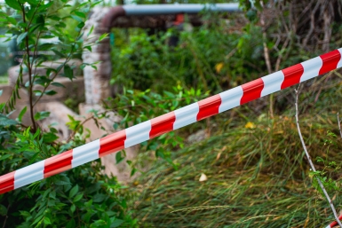 ремонт Илья Аверьянов, ИА PrimaMedia