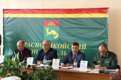 Причиной первых пожаров в Красном Чикое назвали несанкционированный отжиг