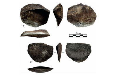 Новость дня