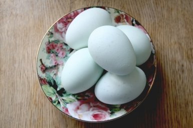 Знаю, откуда берутся яйца С0 — и никогда не куплю их снова: вот что беру вместо них