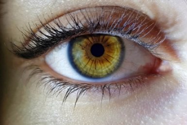 Радужка вместо паспорта: как будет работать новая биометрия