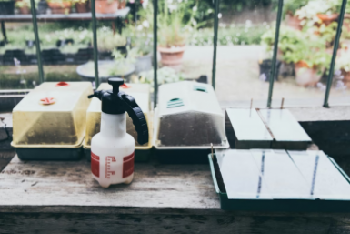 Втыкаю вилку в землю на огороде: вредители навсегда забыли дорогу — решение на вашем огороде