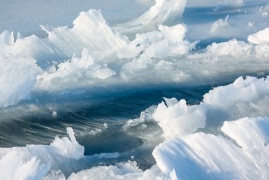 Стали известны страшные подробности гибели детей на Москве-реке в Звенигороде