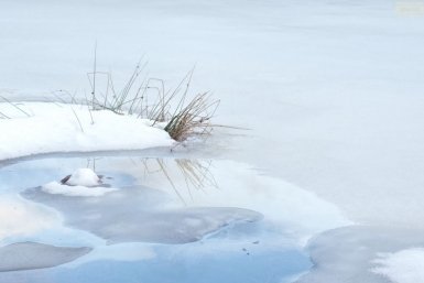 Тематическое фото https://pxhere.com/ru