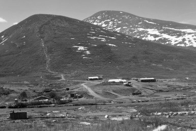 Новость дня