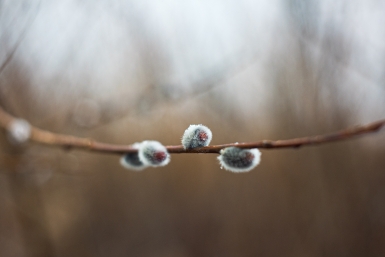 Солнечно, но с оговорками: каким будет начало следующей недели в Приморье