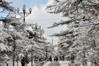 Юным магаданцам и их родителям напоминают о правилах безопасности Источник