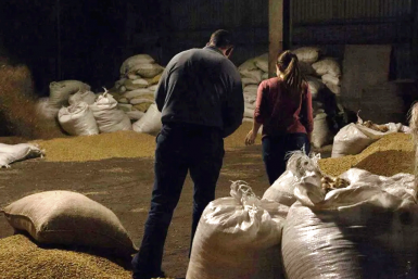 В Бурятии задержали подозреваемых в краже тонны зерна