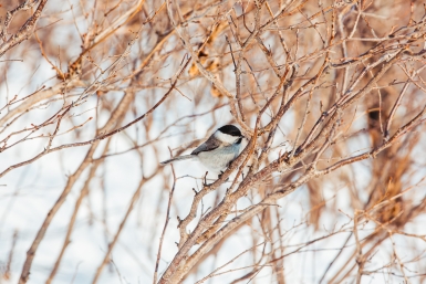 погода Мария Смитюк, ИА PrimaMedia
