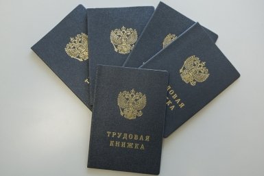 Кубань заняла второе место в ЮФО по перспективам трудоустройства