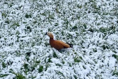 До 6,2 мм осадков выпало в Уссурийском районе — циклон покидает Приморье