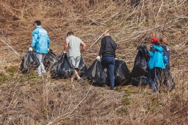Общегородской субботник пройдет в Иркутске 25 апреля
