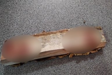 Поленом по голове: в Бурятии задержали мужчину за покушение на убийство