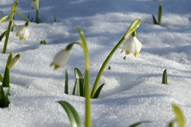 Весна не спешит радовать: Омск накроют мокрый снег и сильный ветер — прогноз на выходные