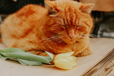 До +16°C: начало следующей недели порадует приморцев теплом, но с оговорками