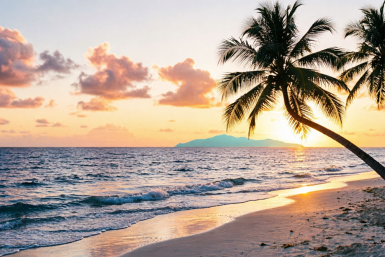 Нячанг в апреле — идеально: спокойное "моречко", + 30 тепла — бегом покупать билеты