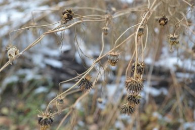 Природа Евгений Овдеенко, ИА OmskMedia