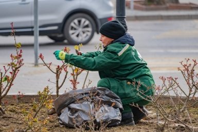 Розарий на площади Суворова в Севастополе начали приводить в порядок