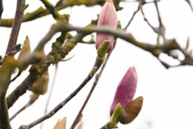 Краснодарский парк Галицкого превращается в цветущий оазис t.me/parkkrd