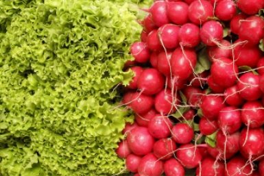 Сажаю эти корнеплоды и уже в мае радуюсь первому урожаю — сладкие, сочные, прямо с грядки