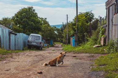 Адвокат рассказал о штрафе в 5 000 рублей за уличный туалет на даче