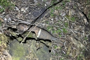 Мину времён Великой Отечественной войны нашли в районе кладбища на Ставрополье