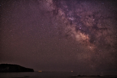 Черный ящик изъят с места крушения легкомоторного самолета в Подмосковье
