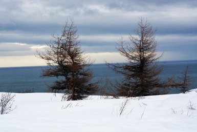 Погода на рабочую неделю в Магадане