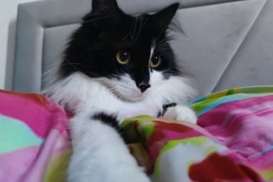 Тематическое фото Елена Гиневская, ИА Stavropol.Media