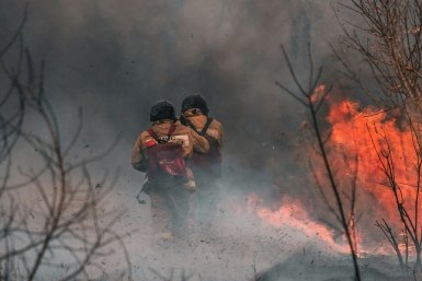 Тематическое фото unsplash.com