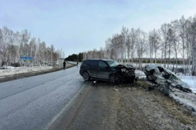 Тематическое фото Канал УМВД России по Омской области