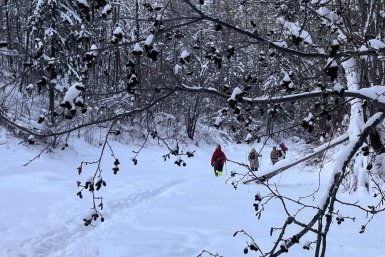 Гороскоп на 23 марта: Близнецы дипломатичны, Козерог избегает нагрузок ИА YakutiaMedia
