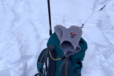 Новость дня