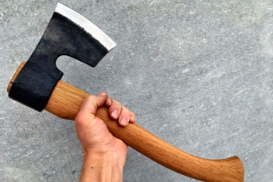 Топор www.220-volt.ru