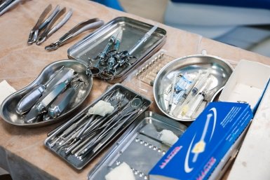 В Приморье бесплатное протезирование зубов проходят участники СВО и ветераны