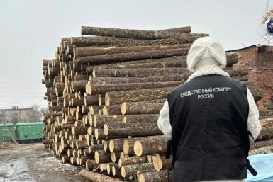 12-летний мальчик погиб под упавшим бревном на неогороженном складе в Приморье