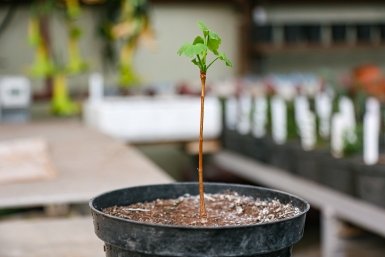 Тематическая фотография Илья Аверьянов, ИА Primamedia