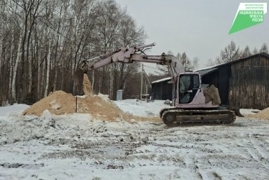 Тонну семян корейской сосны подготовили к посадке в Хабаровском крае Пресс-служба министерства лесного хозяйства и лесопереработки Хабаровского края